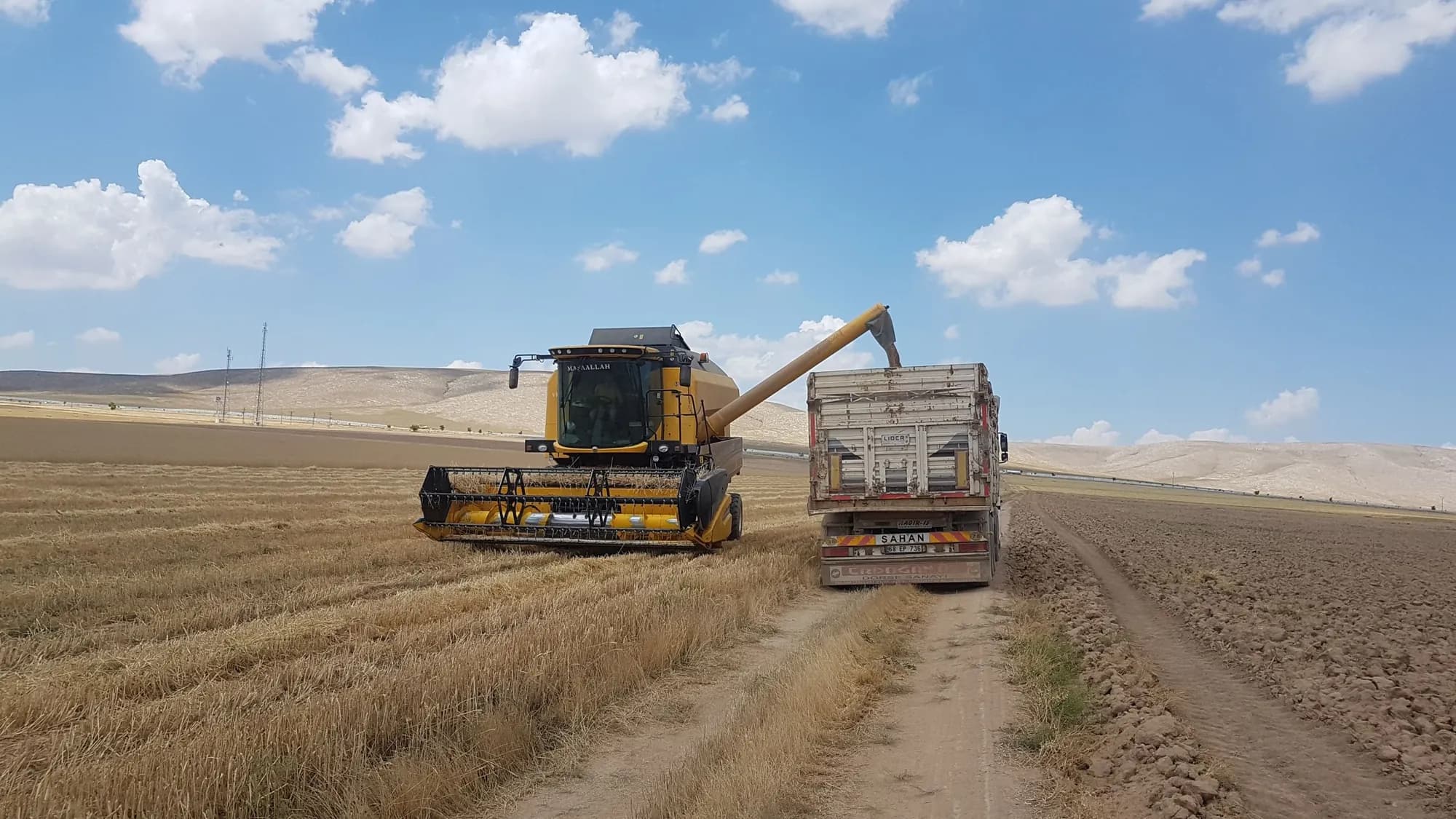 Moissonneuse-batteuse déchargeant du grain dans un camion, aux champs
